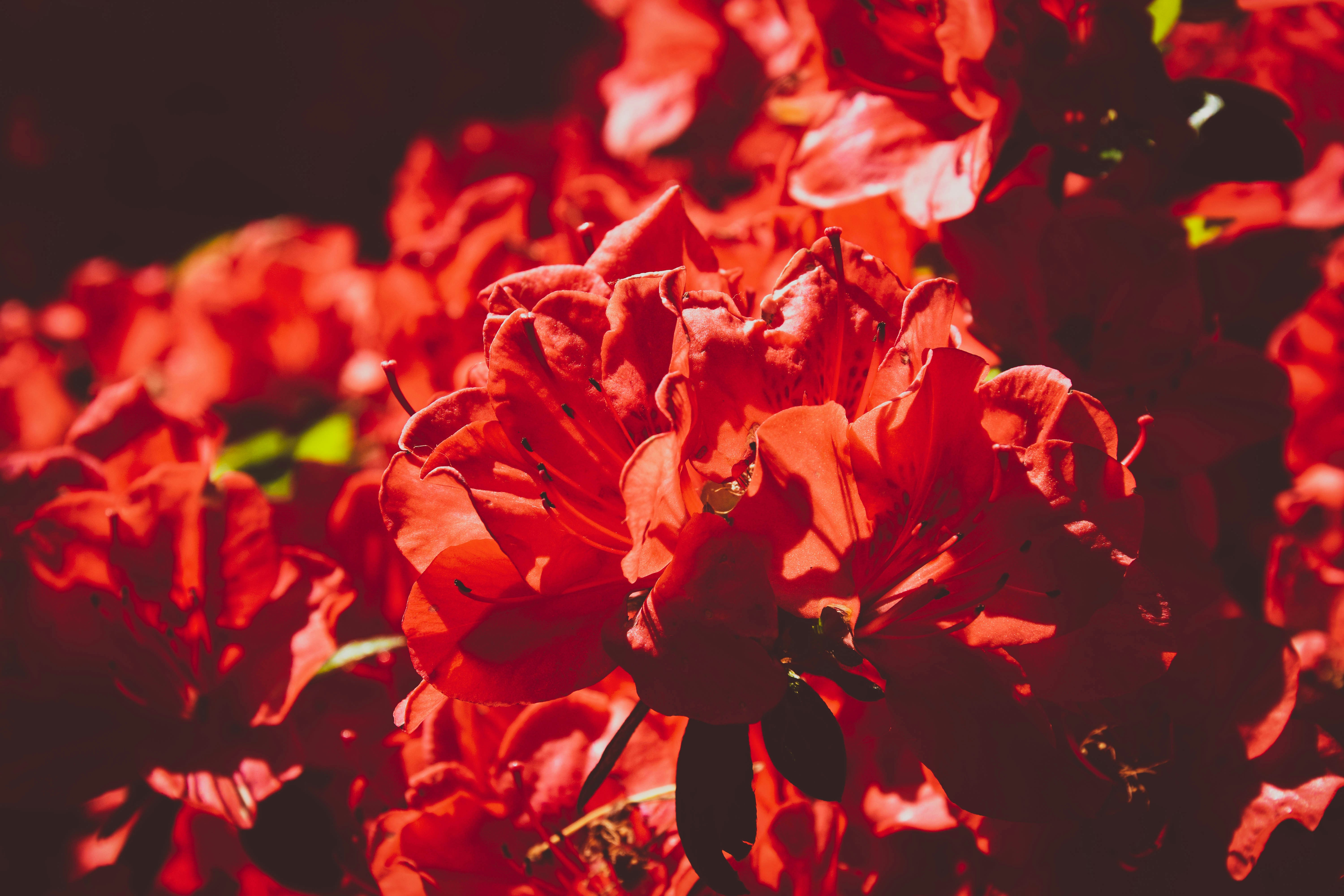 Let’s Talk About the Different Menstrual Phases